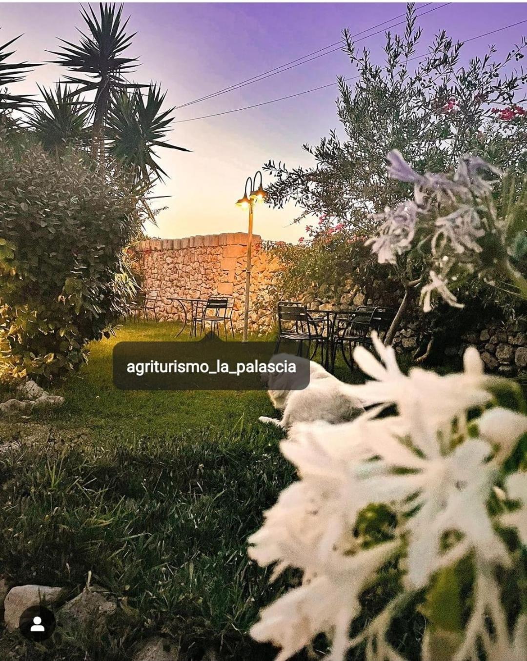 Agriturismo La Palascia Masseria Agreste Otranto Zewnętrze zdjęcie