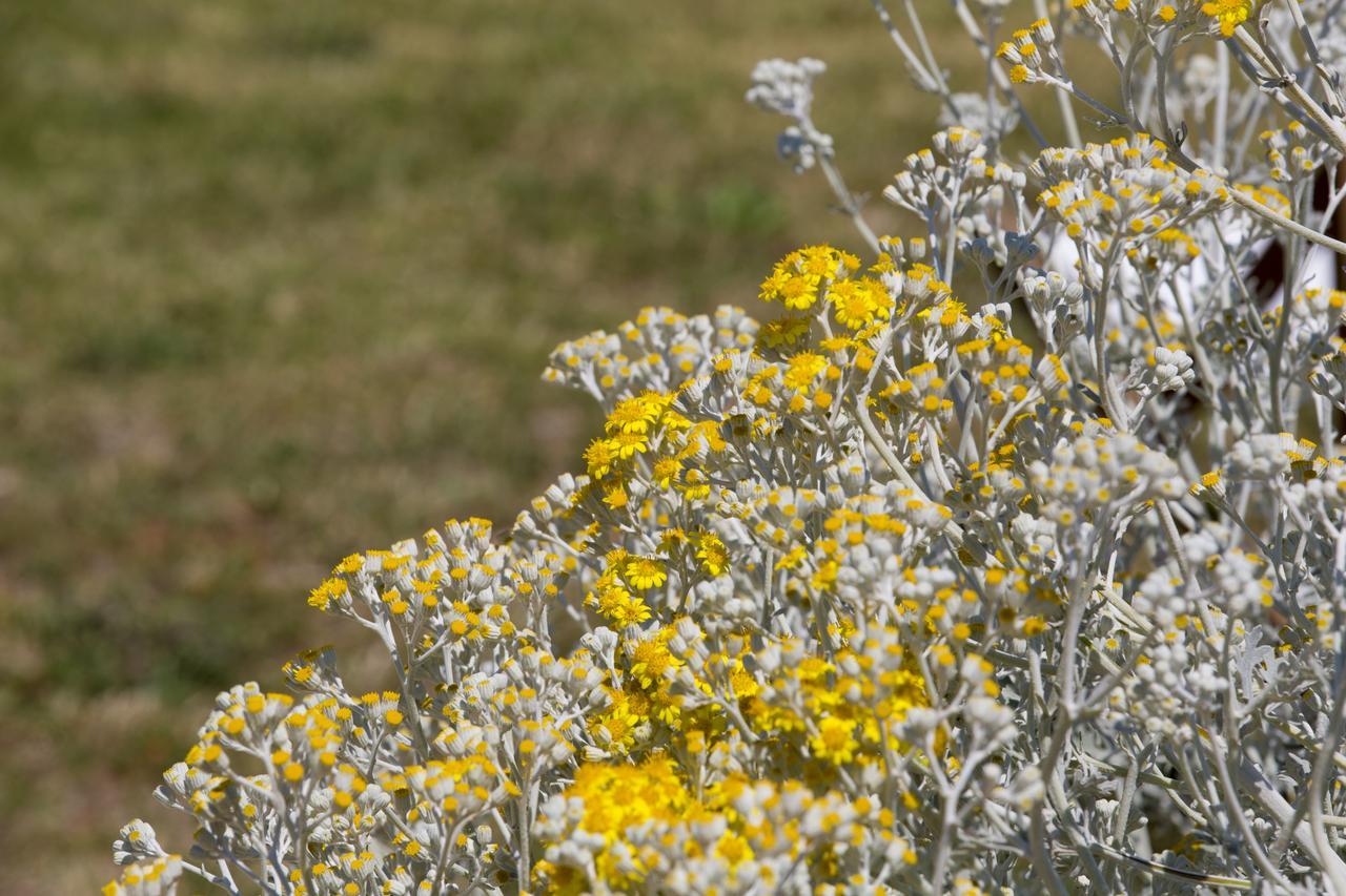 Agriturismo La Palascia Masseria Agreste Otranto Zewnętrze zdjęcie