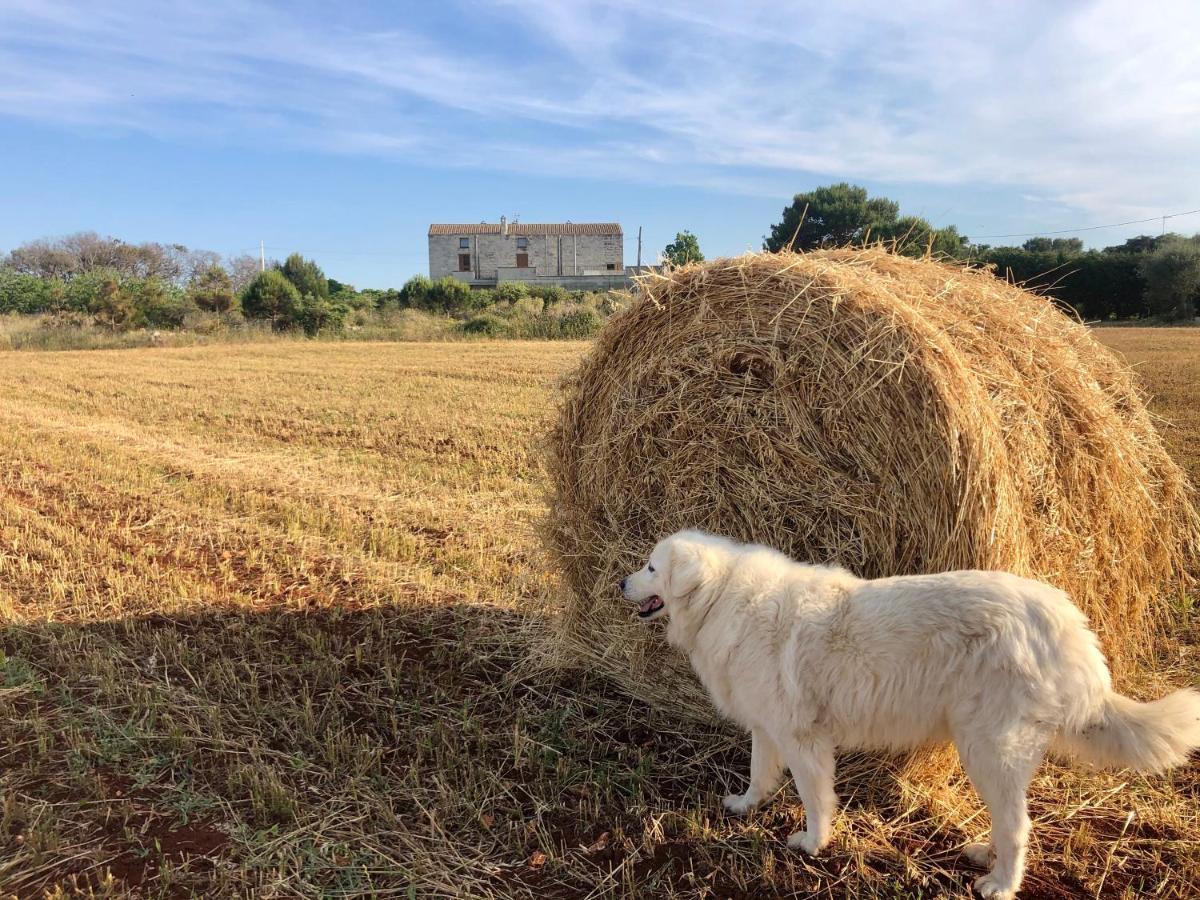 Agriturismo La Palascia Masseria Agreste Otranto Zewnętrze zdjęcie