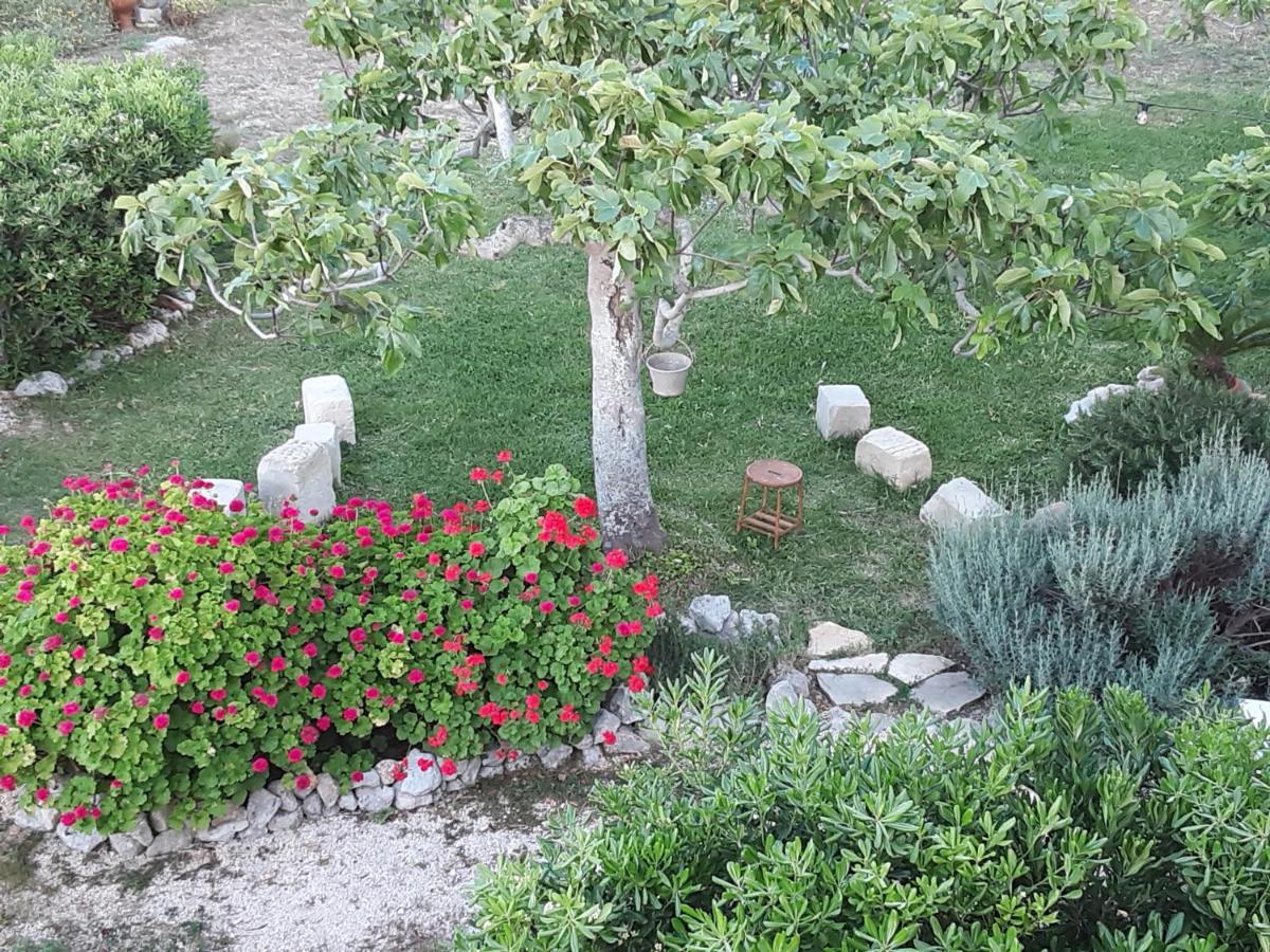 Agriturismo La Palascia Masseria Agreste Otranto Zewnętrze zdjęcie